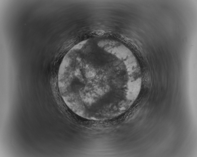 X0000093401105200711091336