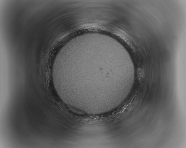 X0000093401111200711091336