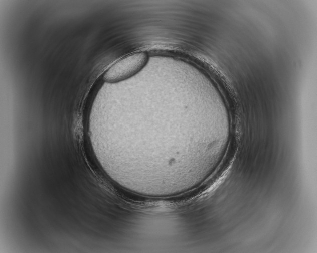 X0000093401113200711091336