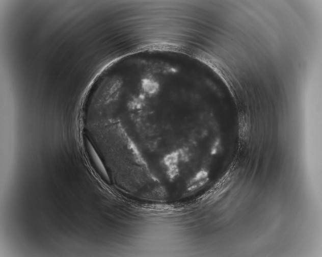 X0000093401115200711091336