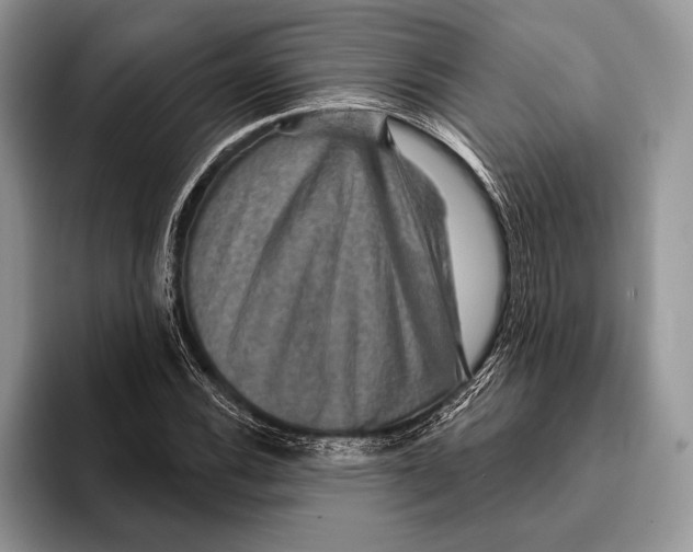 X0000093401116200711091336