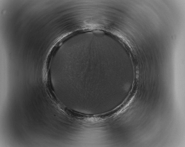 X0000093401117200711091336