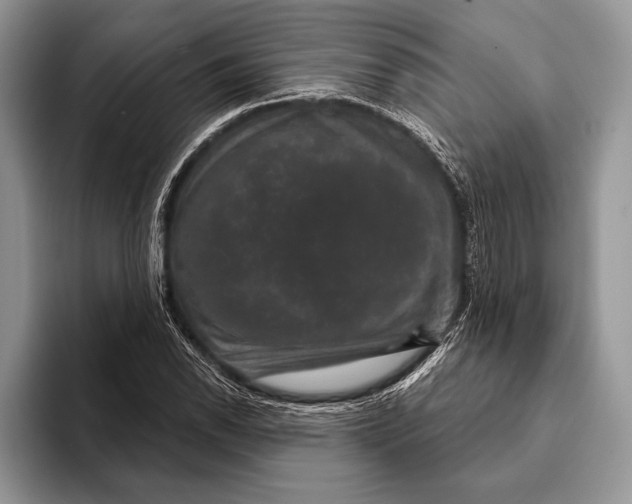 X0000093401118200711091336