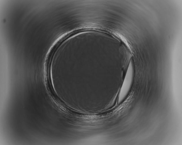 X0000093401120200711091336