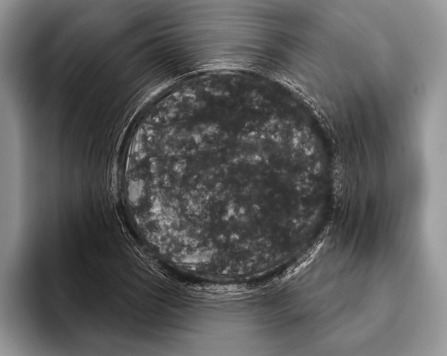 X0000093401121200711091336