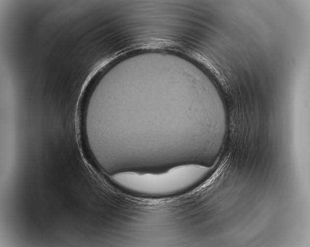 X0000093401122200711091336