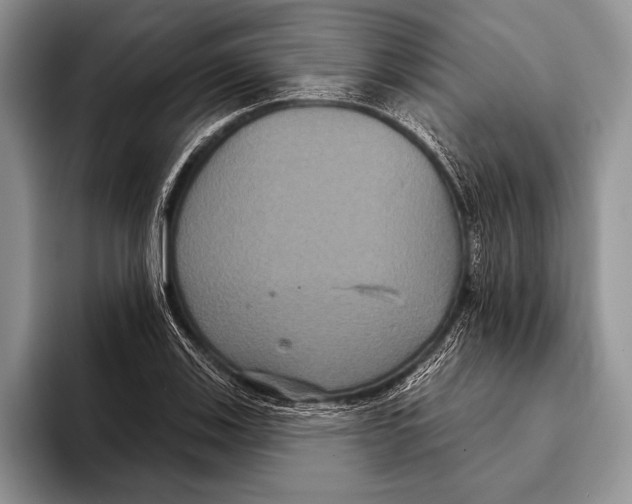 X0000093401123200711091336