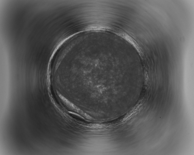 X0000093401124200711091336