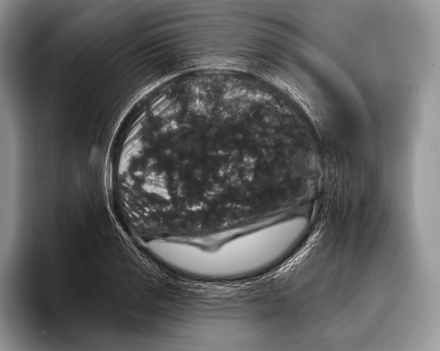 X0000093401125200711091336