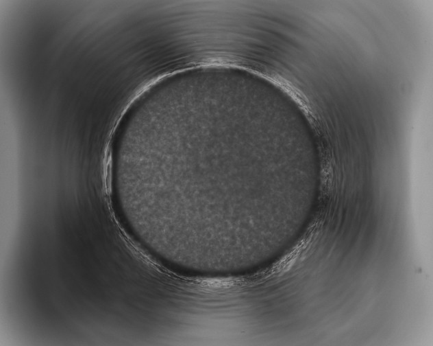 X0000093401126200711091336