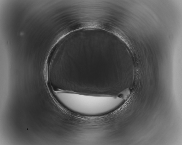 X0000093401127200711091336