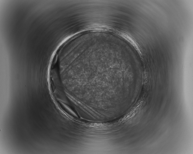 X0000093401128200711091336