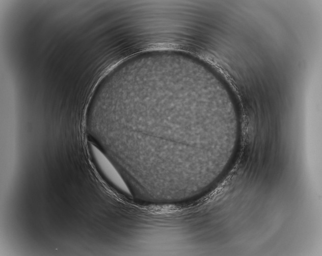 X0000093401129200711091336