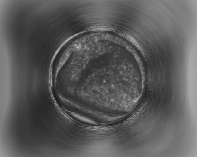 X0000093401132200711091336