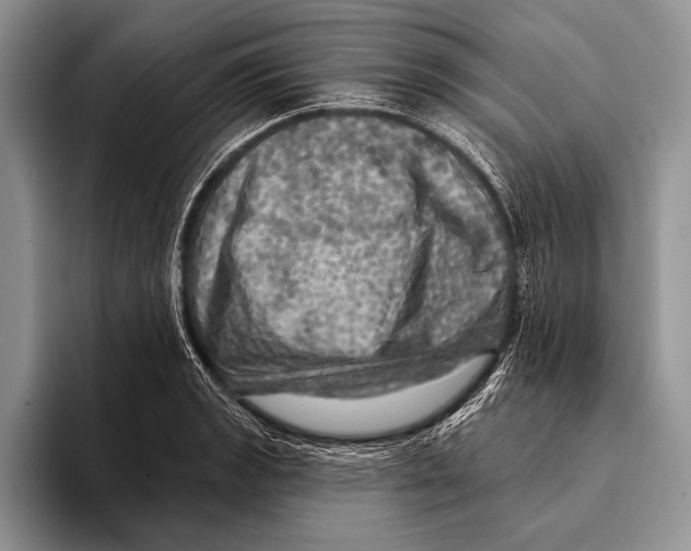 X0000093401133200711091336