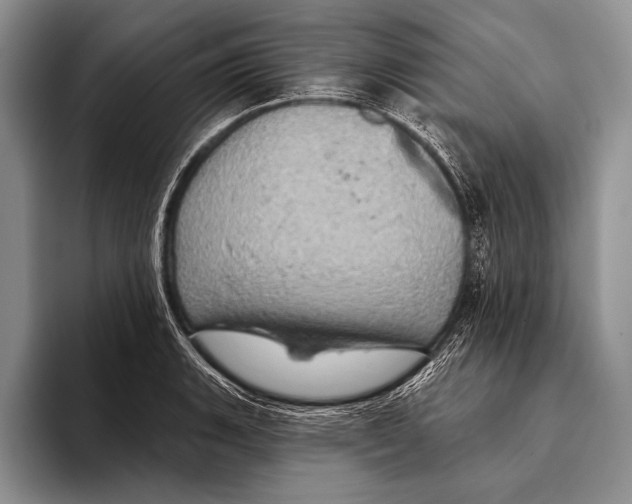 X0000093401135200711091336