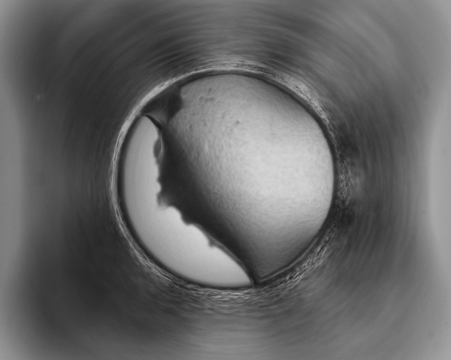 X0000093401136200711091336