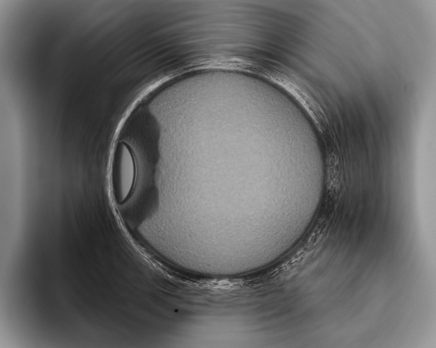 X0000093401139200711091336