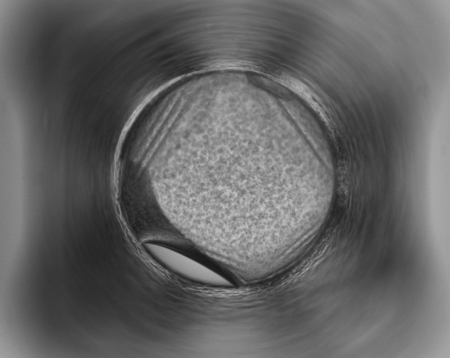 X0000093401140200711091336