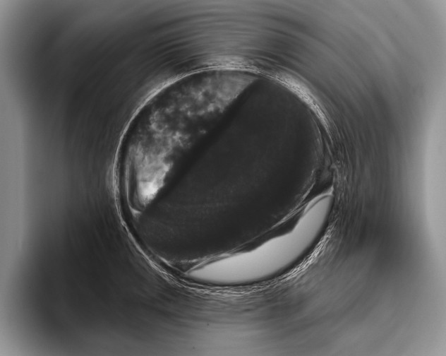 X0000093401141200711091336