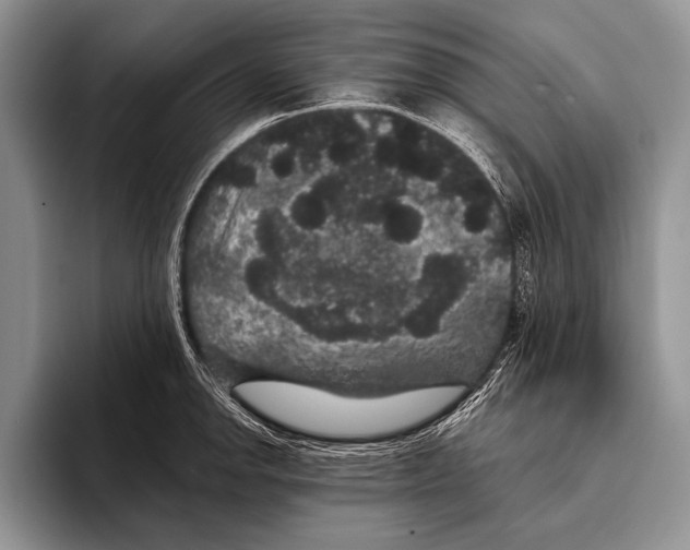 X0000093401142200711091336