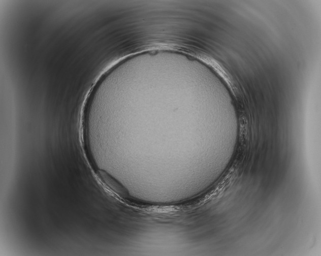 X0000093401143200711091336