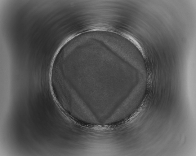 X0000093401146200711091336