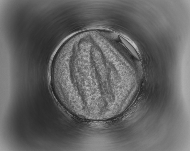 X0000093401148200711091336