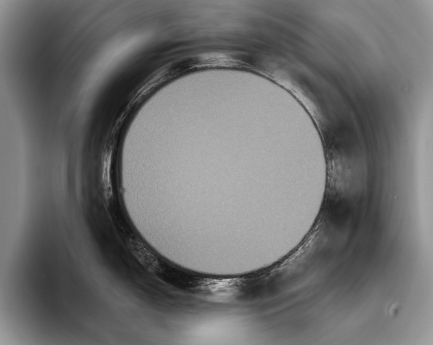 X0000093401150200711091336