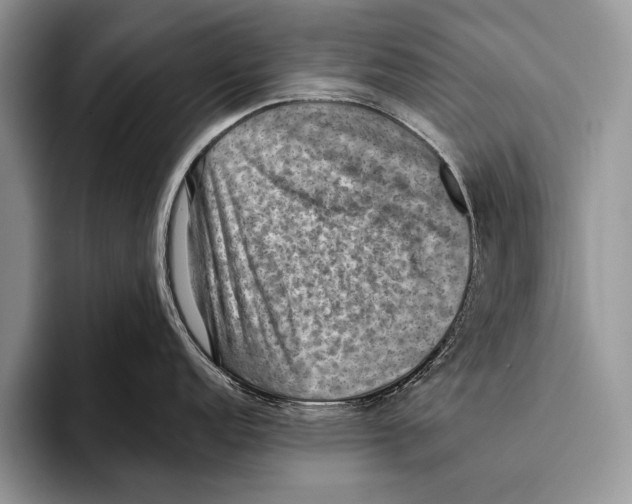 X0000093401152200711091336