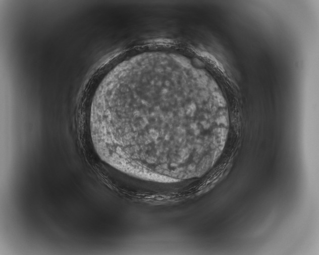 X0000093401159200711091335