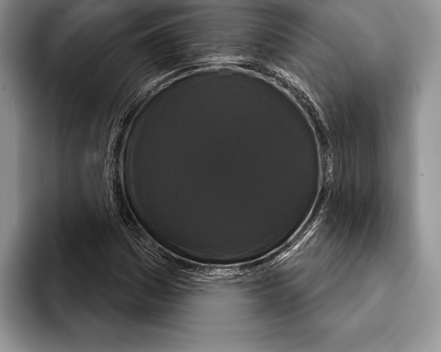 X0000093401161200711091335