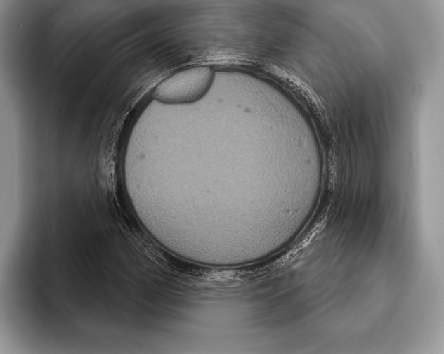 X0000093401162200711091335