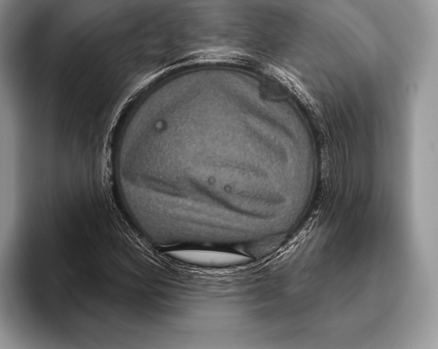 X0000093401164200711091335