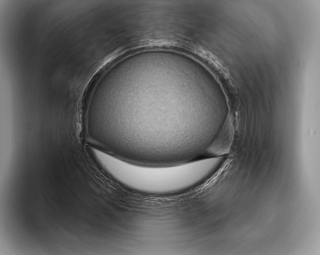 X0000093401165200711091335