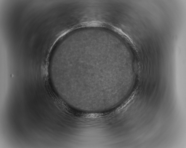 X0000093401166200711091335