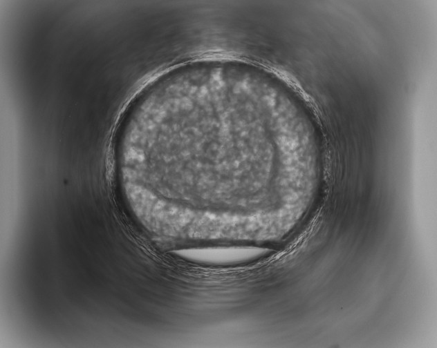 X0000093401167200711091335