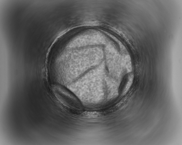 X0000093401168200711091335