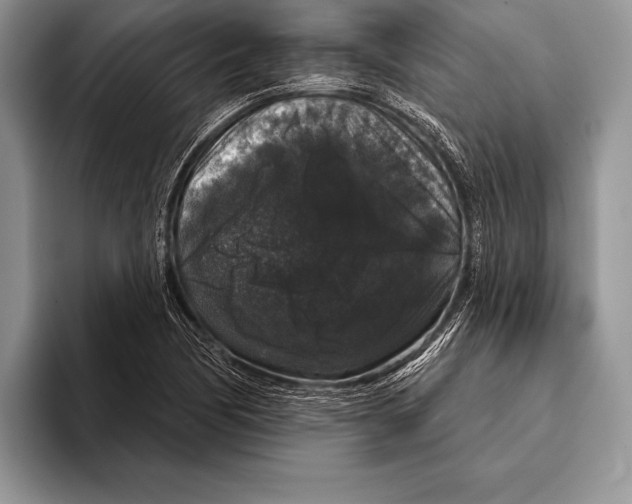 X0000093401170200711091335