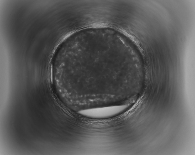 X0000093401171200711091335