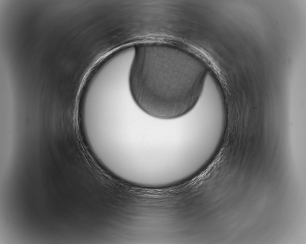 X0000093401172200711091335