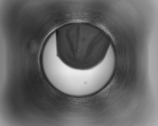 X0000093401173200711091335