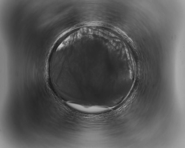 X0000093401174200711091335