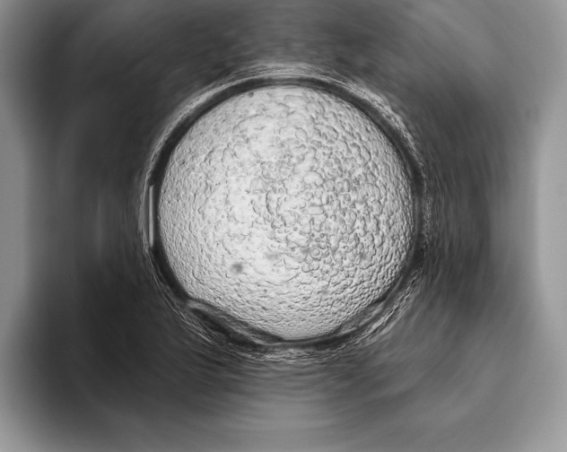 X0000093401175200711091335