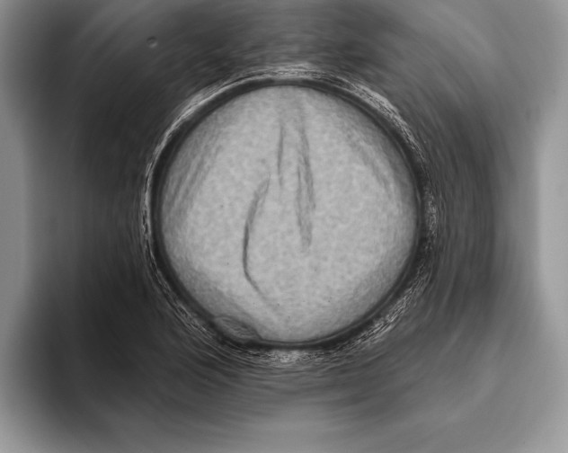 X0000093401176200711091335