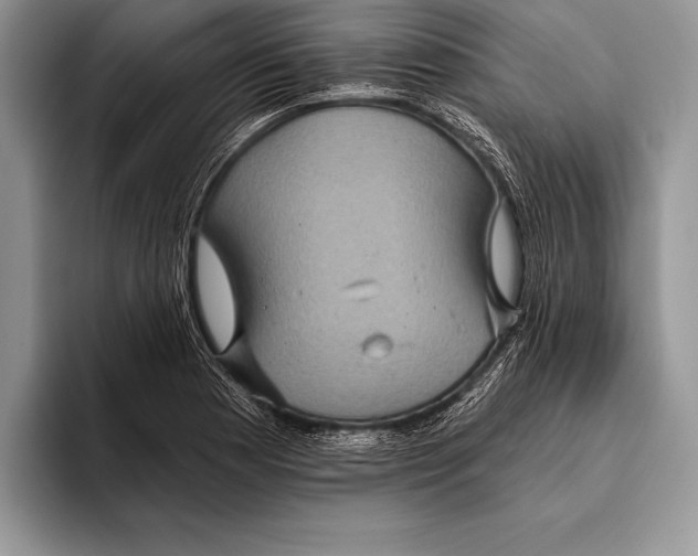 X0000093401177200711091335