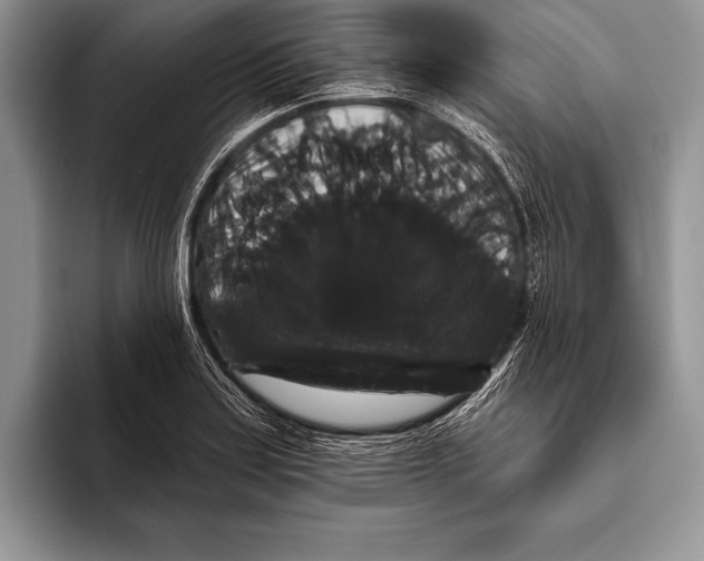 X0000093401179200711091335