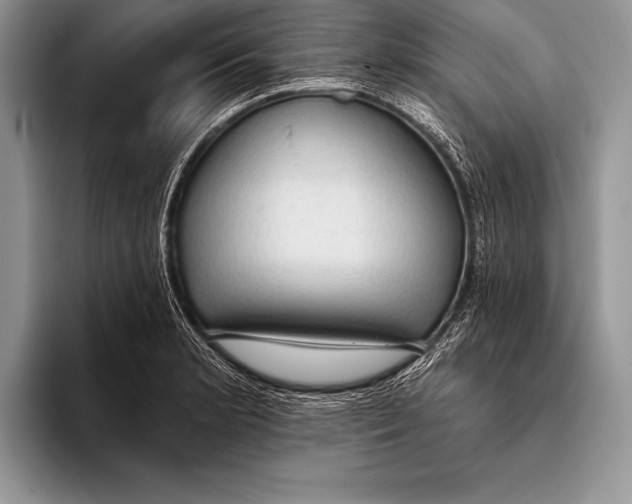 X0000093401181200711091335