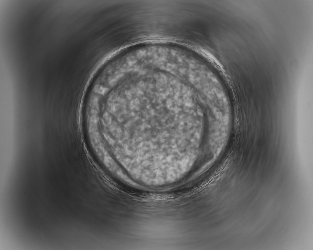 X0000093401183200711091335