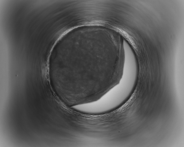 X0000093401184200711091335